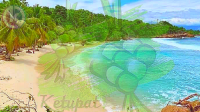 Foto: Pantai Batu Buaya (Ilustrasi)