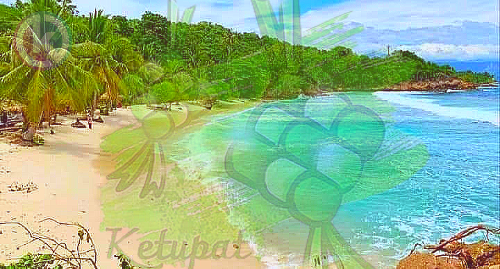 Foto: Pantai Batu Buaya (Ilustrasi) Foto: Pantai Batu Buaya (Ilustrasi)