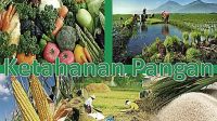 ketahanan-pangan-indonesia
