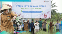 Walikota Kotamobagu walikota weny gaib saat panen raya bersama kelompok tani binaan bank indonesia.