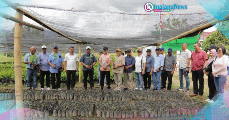 Peninjauan Bibit Kakao Peninjauan Bibit Kakao Walikota Weny dan Bupati Halmahera Timur