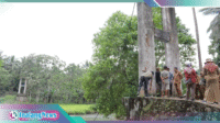 Walikota weny Gaib saat meninjau kondisi Jembatan Monsi yang ambruk