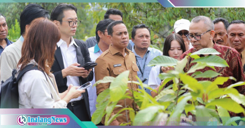 Kunjungan Investor Jepang Walikota WEny bersama Investor Jepang di Perkebunana Kakao Poyowa Besar